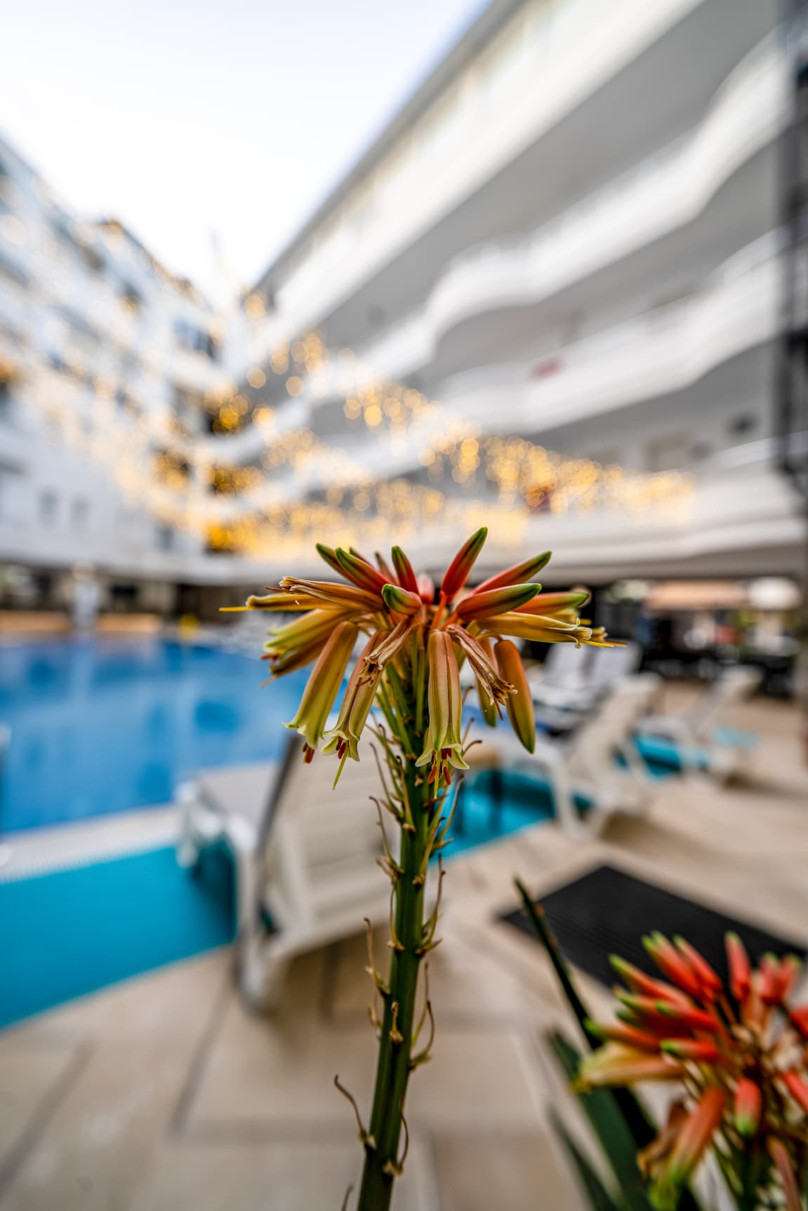 Club Efes Otel-20