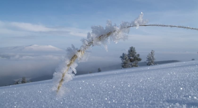 Kayı Snow Hotel Sarıkamış-74