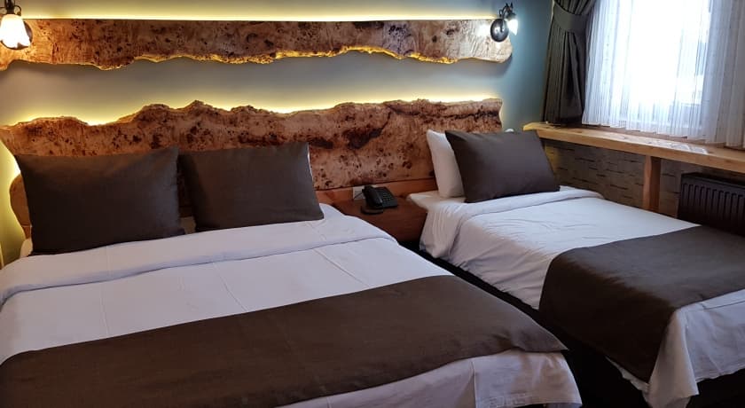 Kayı Snow Hotel Sarıkamış-17
