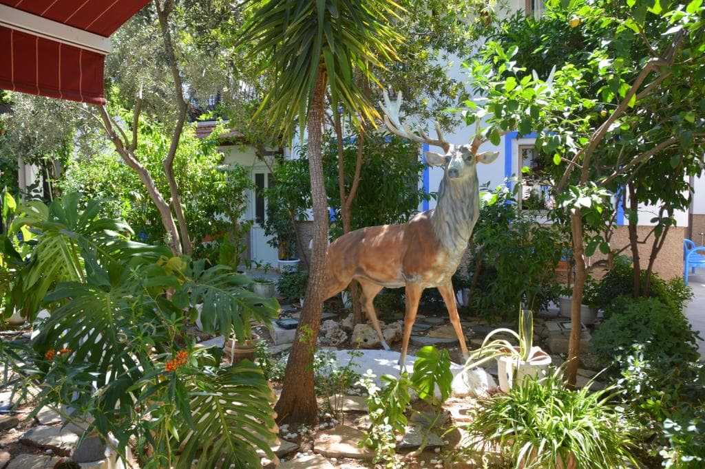 İstanköy Hotel Bodrum-52