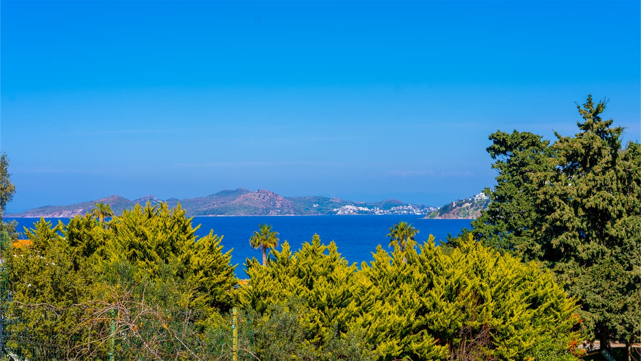 Veluna Beach Resort-70