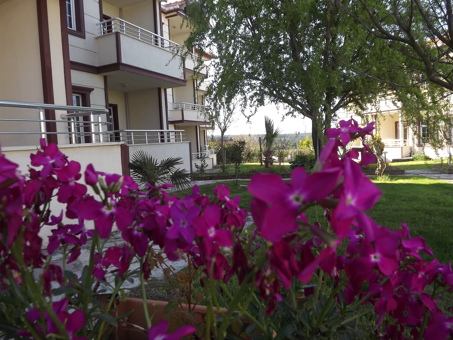 Hamsilos Tatil Köyü Sinop-17