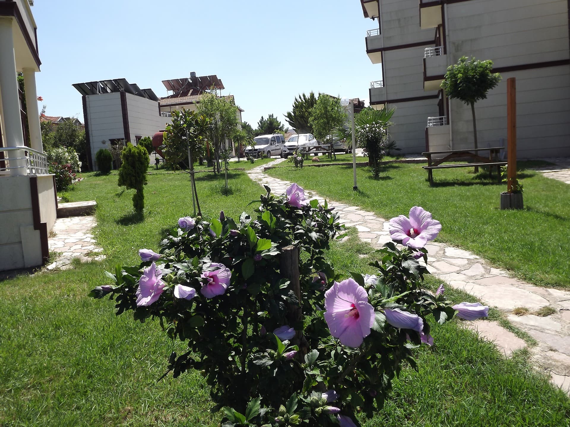 Hamsilos Tatil Köyü Sinop-20