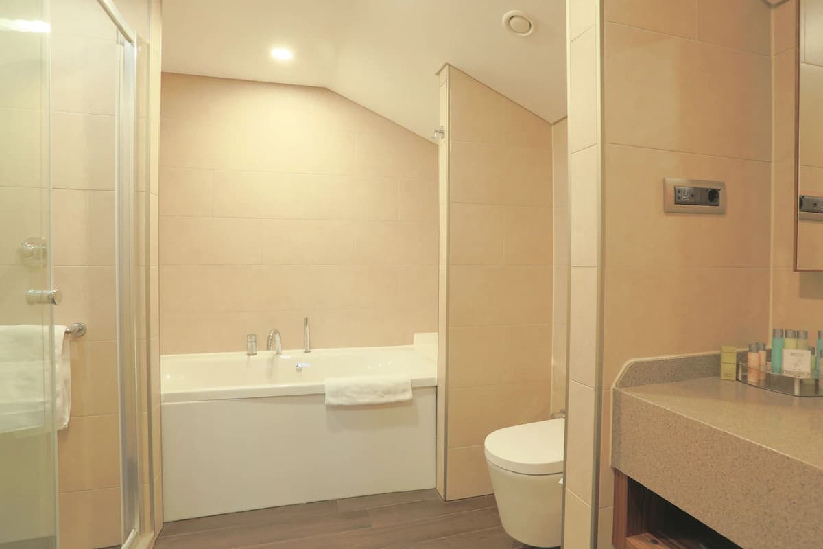 Hilton Garden Inn Eskişehir-6