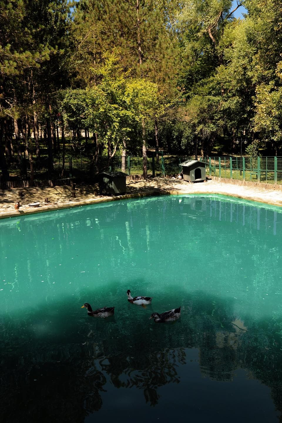 Bolu Koru Hotels Spa & Convention-13