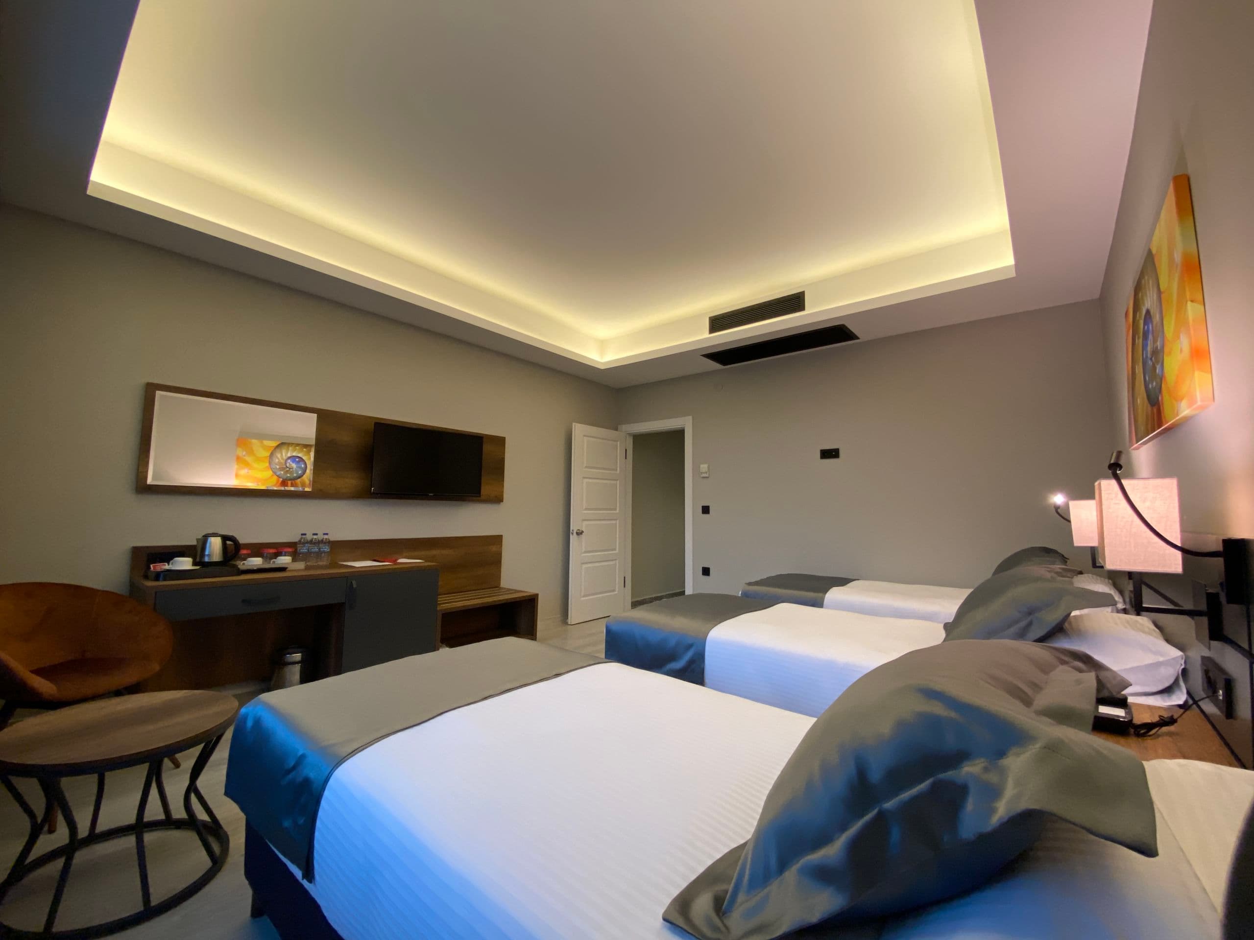 The Plaza Hotel Edirne-100