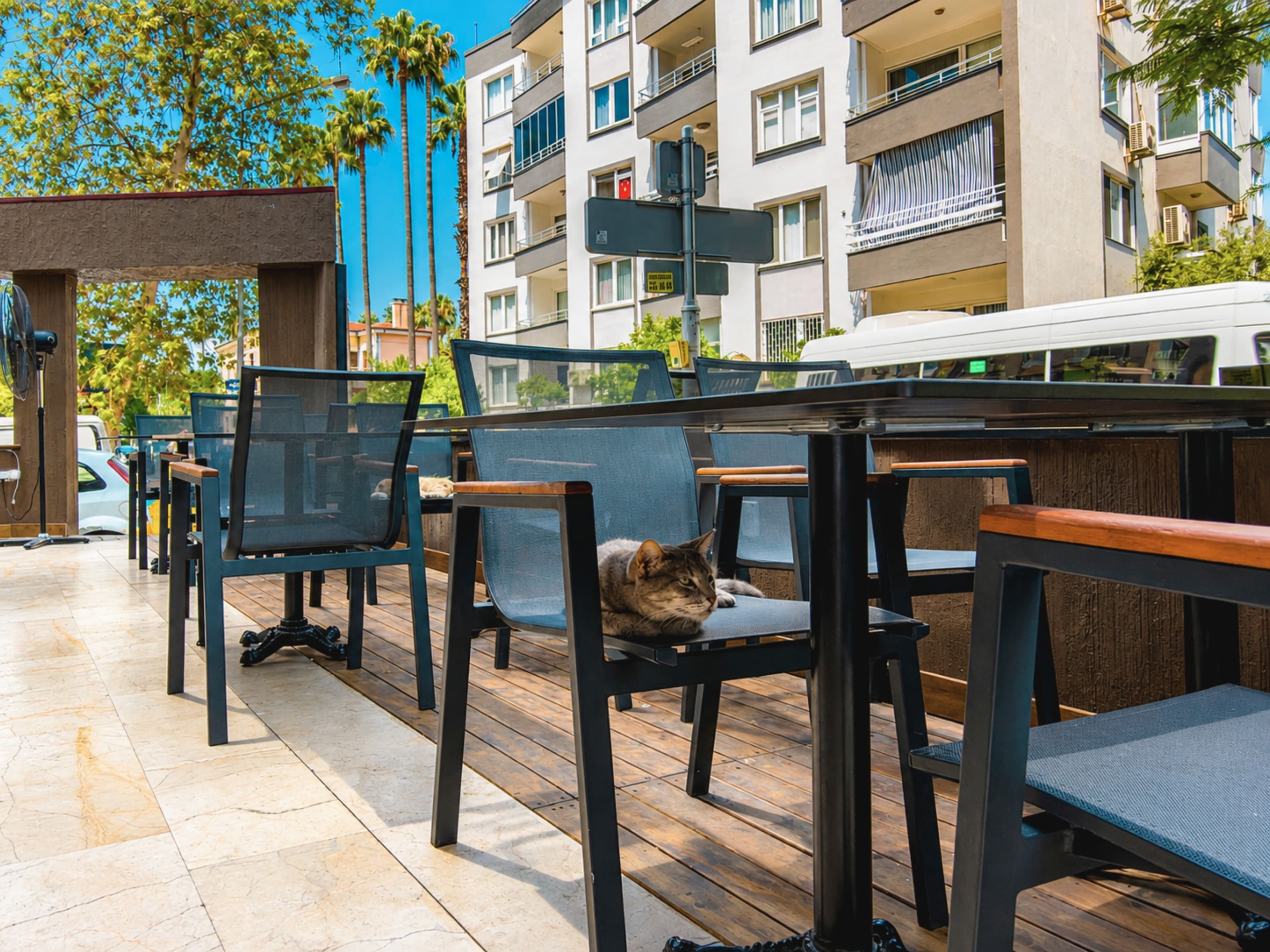 Otel Güleryüz 2-25