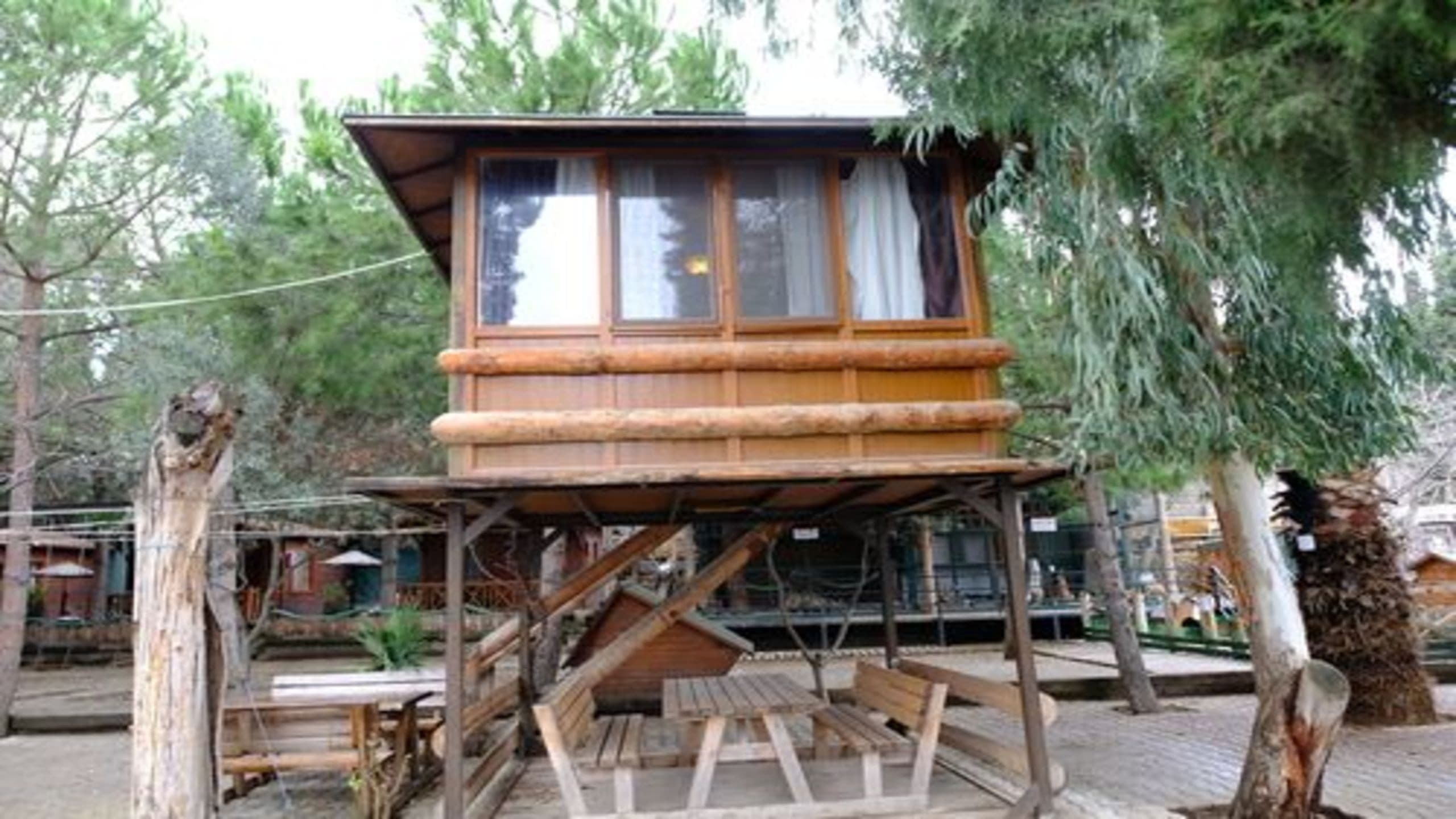 İznik Askania -13