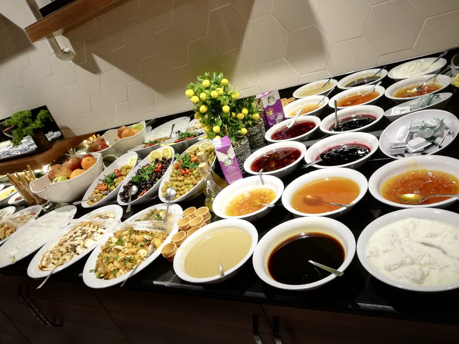 Grand Hasankeyf Otel Batman-12