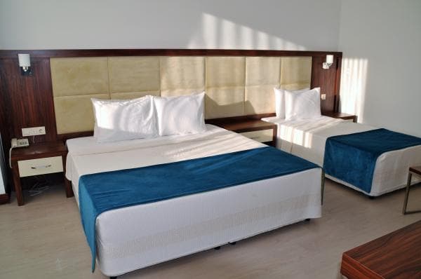 Aile Suite 1