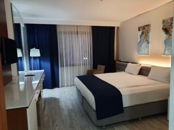 Standart Tek Büyük Yataklı Oda	 2