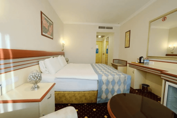 Standart Single Room - Tek Geniş Yataklı Oda 1