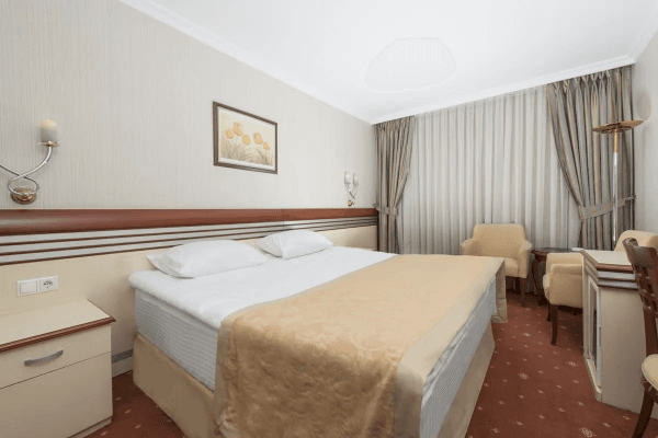 Standart Single Room - Tek Geniş Yataklı Oda 2