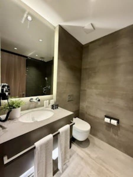 One Bedroom Suite 4