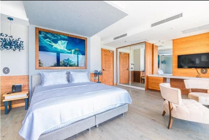 Suite 1