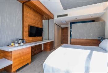 Standart Twin 2