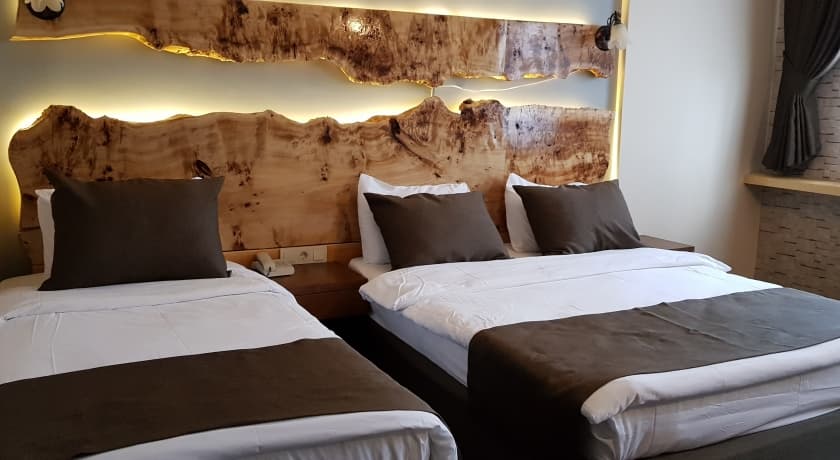 Kayı Snow Hotel Sarıkamış-resim-7