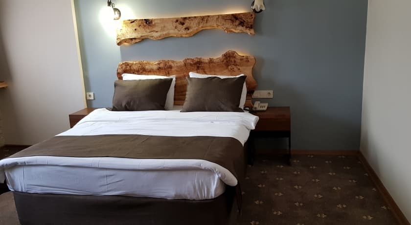 Kayı Snow Hotel Sarıkamış-resim-5