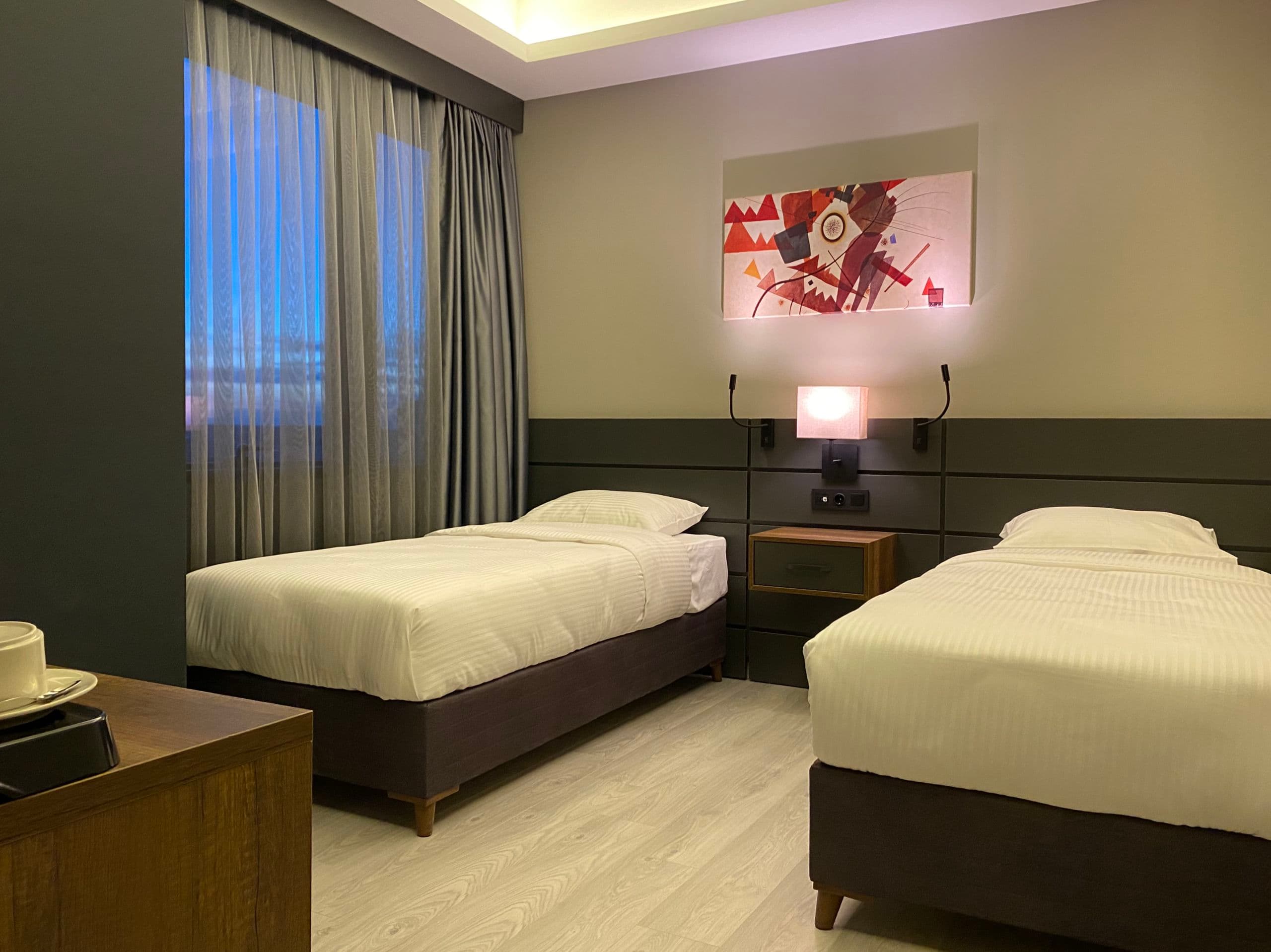 The Plaza Hotel Edirne-resim-3