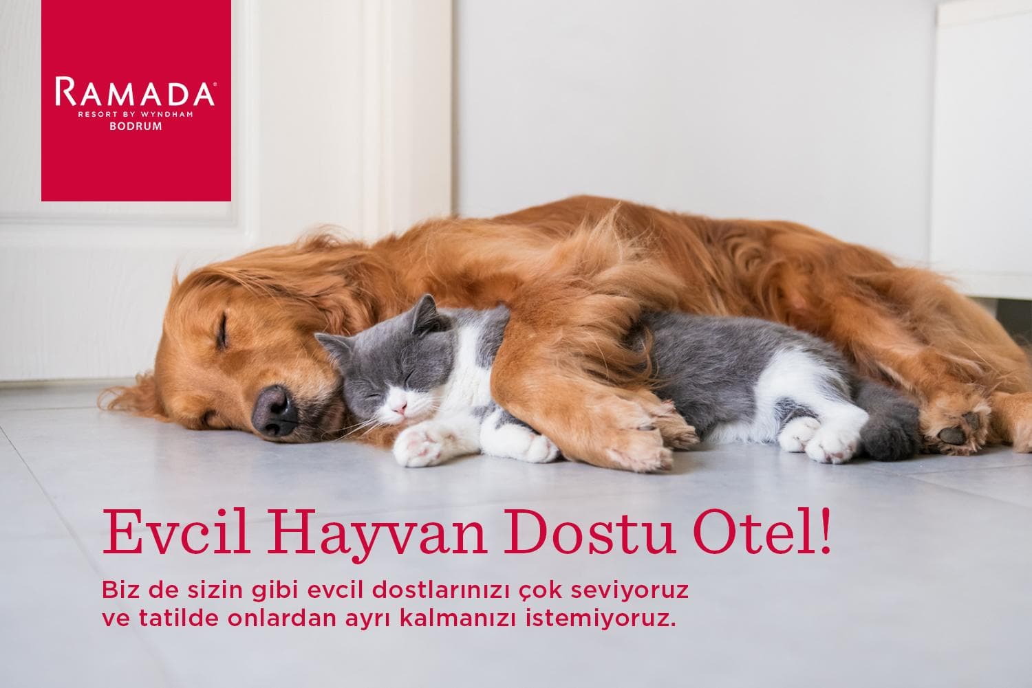 Ramada Resort by Wyndham Bodrum -resim-6