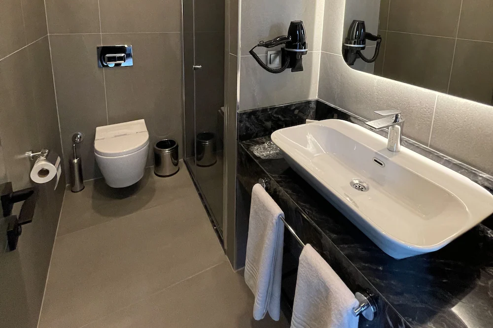 Deluxe Room, Deniz Manzaralı, Fransız Balkonlu