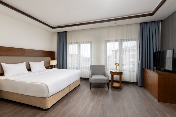 Premium Business Executive Room	